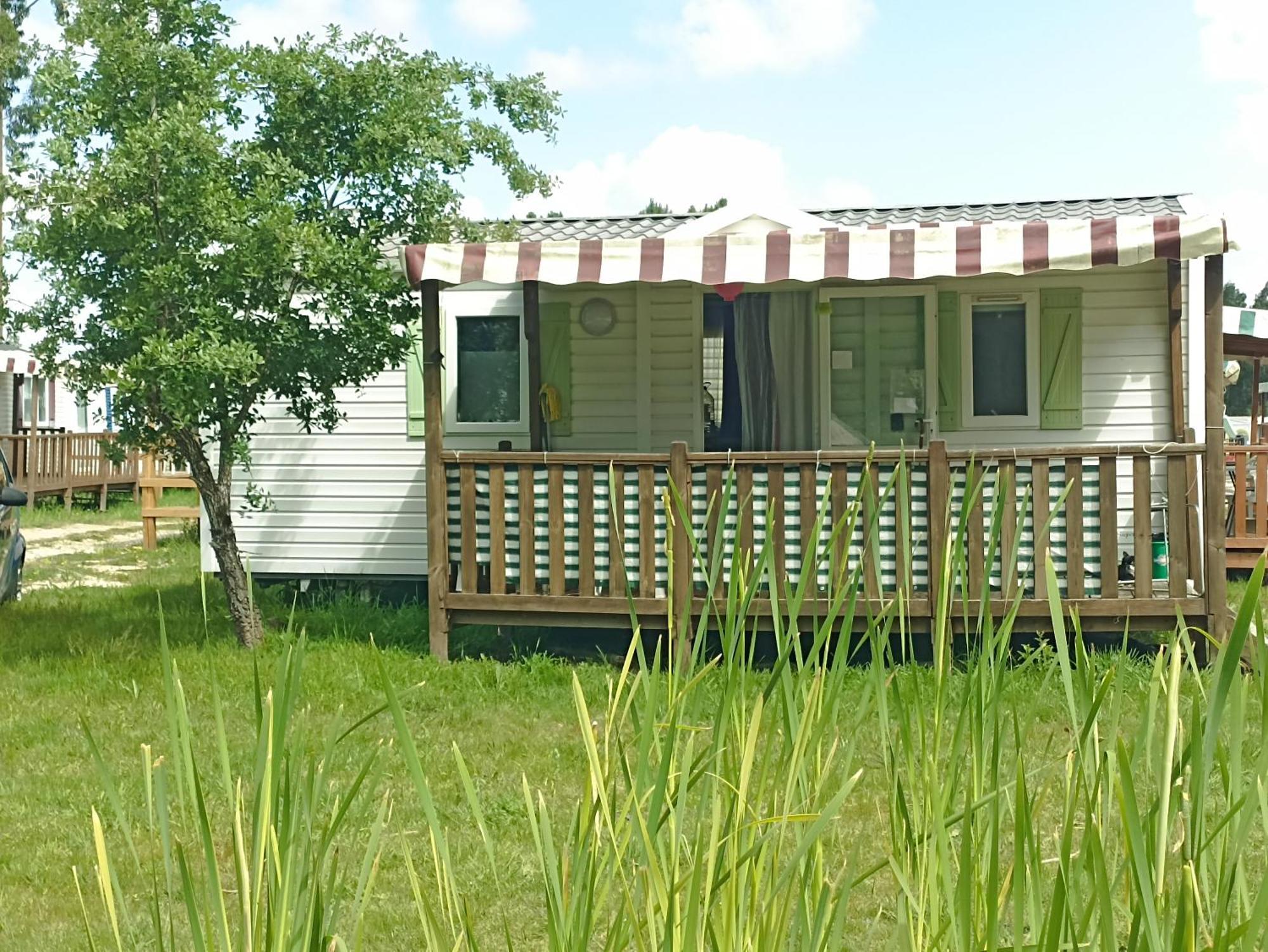 Tinyhouse Tilda - Near Famous Beaches باتاياس المظهر الخارجي الصورة