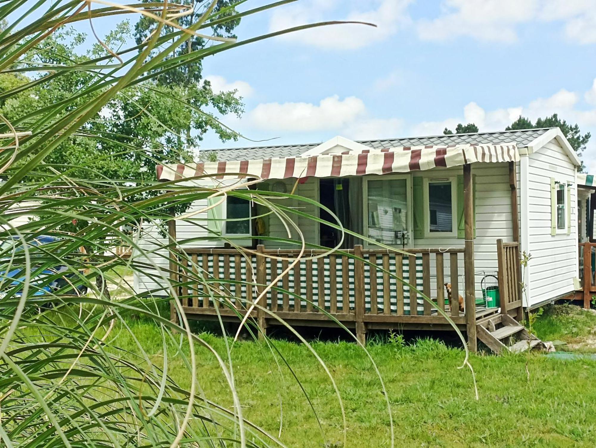 Tinyhouse Tilda - Near Famous Beaches باتاياس المظهر الخارجي الصورة