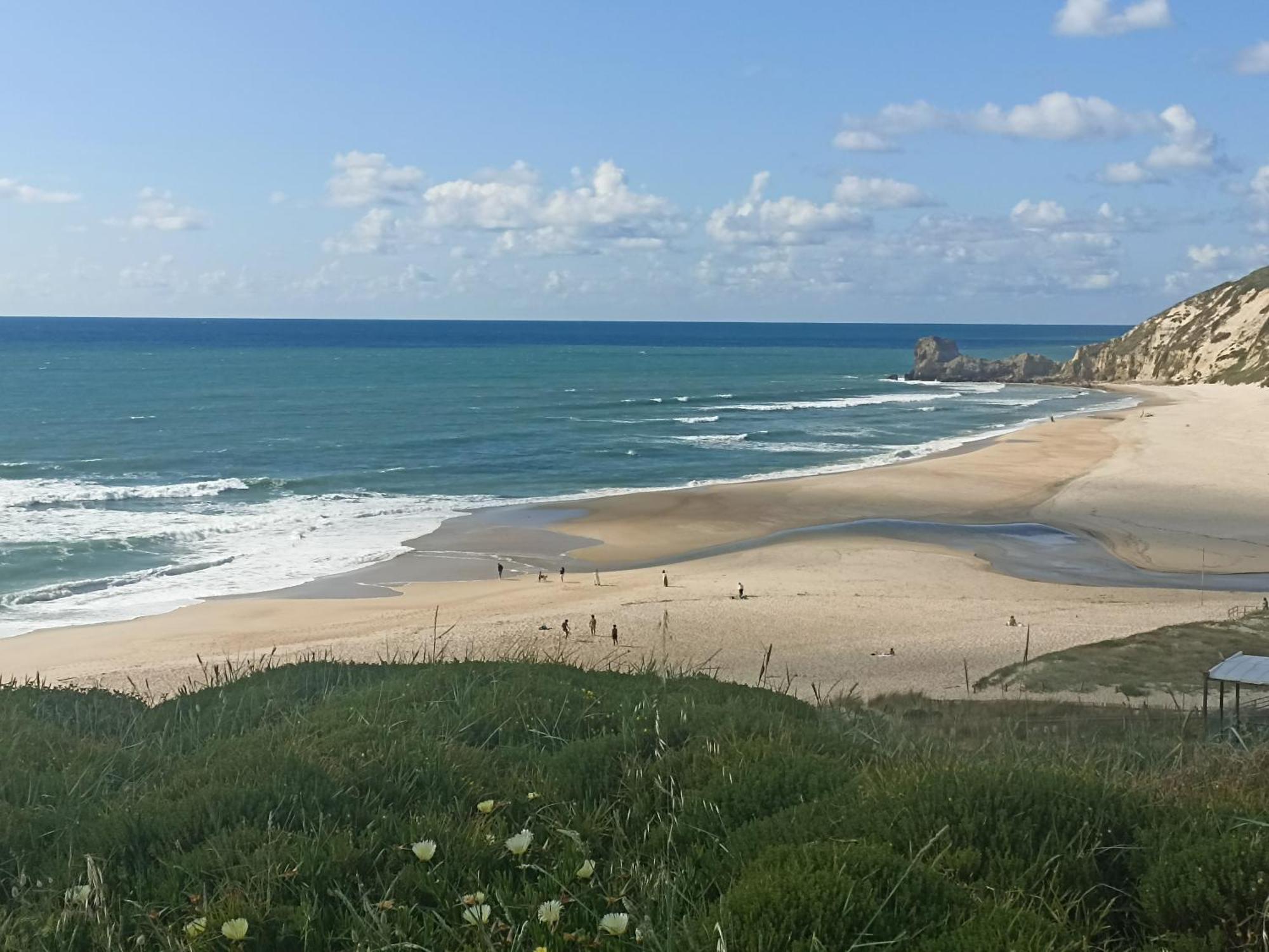 Tinyhouse Tilda - Near Famous Beaches باتاياس المظهر الخارجي الصورة